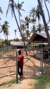 VID-20250630-WA0012_exported_121804~2