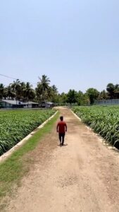 VID-20250630-WA0012_exported_24400~2