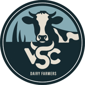 VSC - LOGO low size