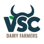 low_size-removebg-preview