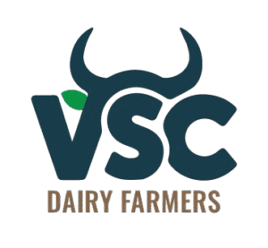 low_size-removebg-preview